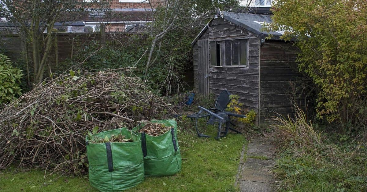 Garden clearance in Watford: what to remove first for a tidy outdoor space