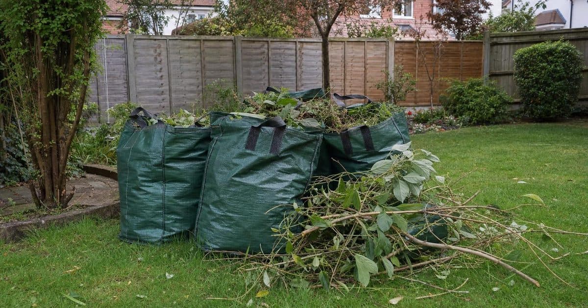 Garden waste collection in Watford: council bin, tip or private clearance